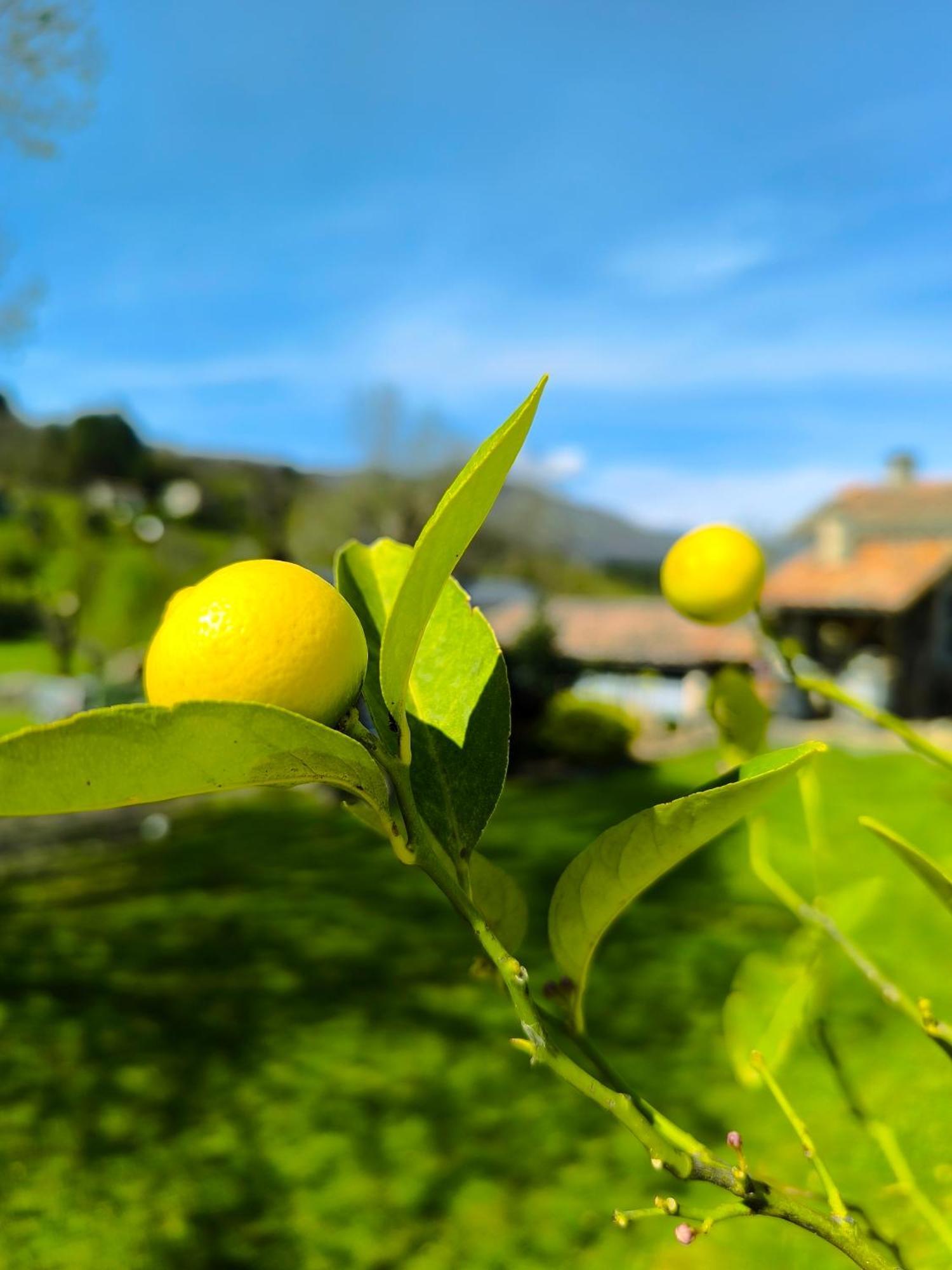 La Babounette Jaujac 外观 照片